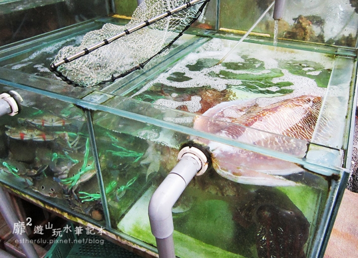 澳底~黑白毛海鮮