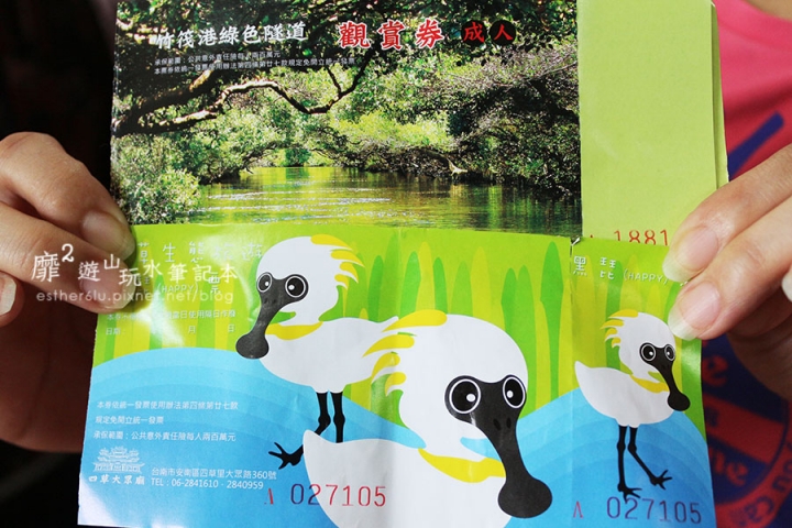 台南~ 台江國家公園 四草綠色隧道