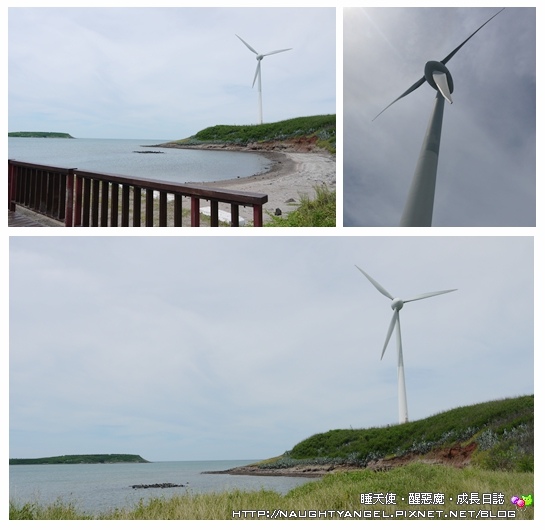 不搭飛機也能到澎湖~菊島美景。絢爛花火。天人菊傳香及大目船DIY