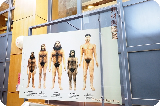 【台東遛小孩景點】讓人大開眼界的「台東史前博物館」