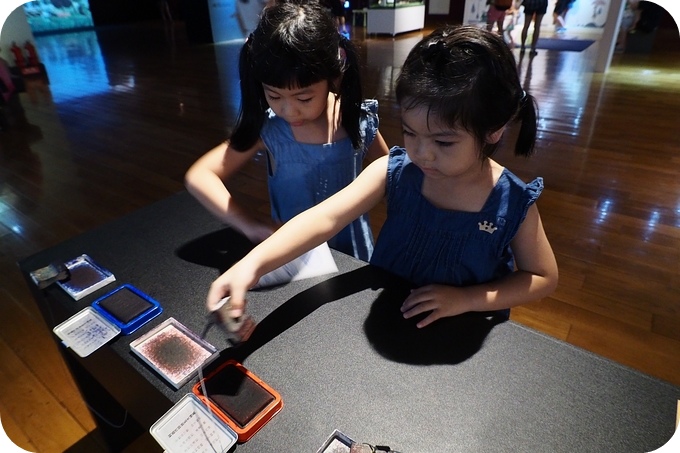 【台東遛小孩景點】讓人大開眼界的「台東史前博物館」