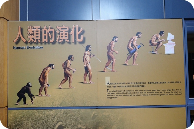 【台東遛小孩景點】讓人大開眼界的「台東史前博物館」