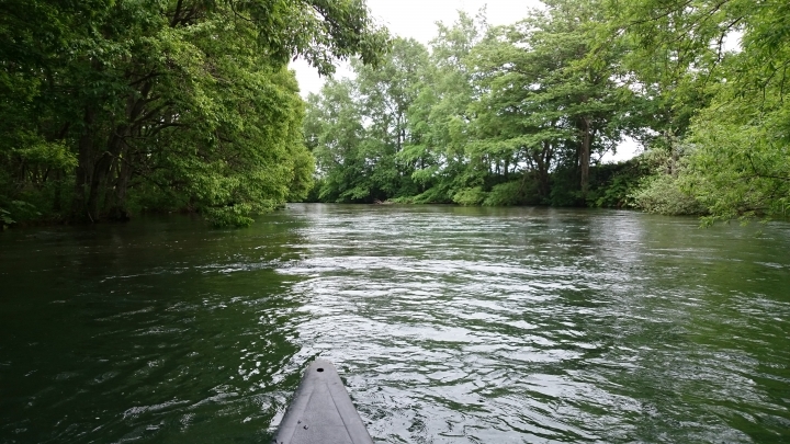 0624 天氣陰 釧路川Canoe tour!