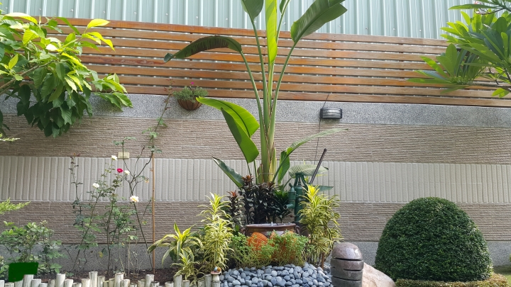 親手打造(前庭-後院）園圃周年更新