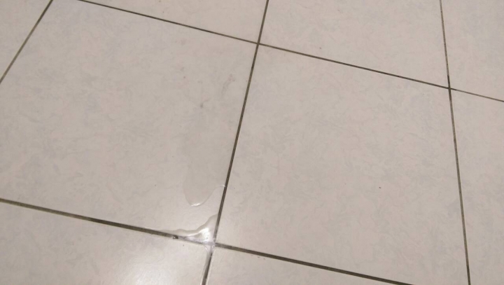 [請益] 買中古屋，才剛交屋就碰上颱風，隔日查看發現客廳滲漏水，如何處理? (文長)----更新