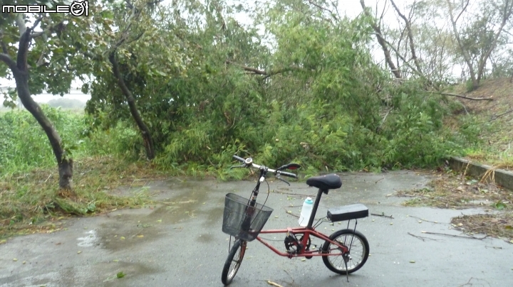颱風天探視本鎮自行車道現況!!