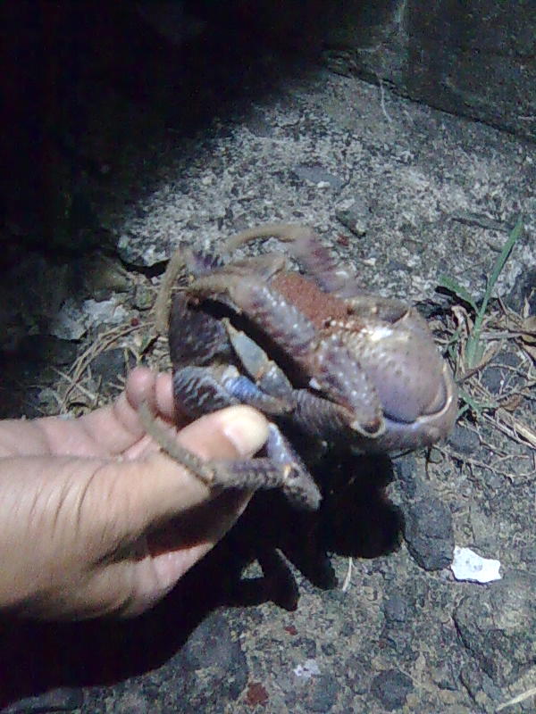我在綠島的日子