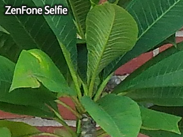 [台日PK] 華碩ZenFone Selfie vs SONY C5 Ultra 誰是自拍美人機