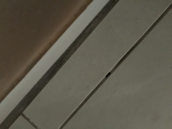 30*30地磚鋪設~這品質???求解!