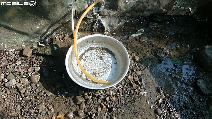 請幫我看這是什麼蟲？對鵝有影響嗎？
