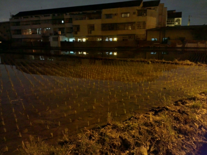 oneX 夜景純分享 傷眼 抱歉