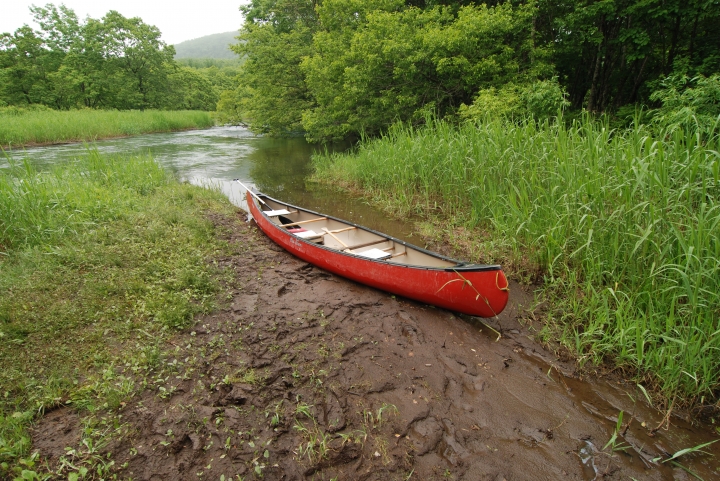 0624 天氣陰 釧路川Canoe tour!