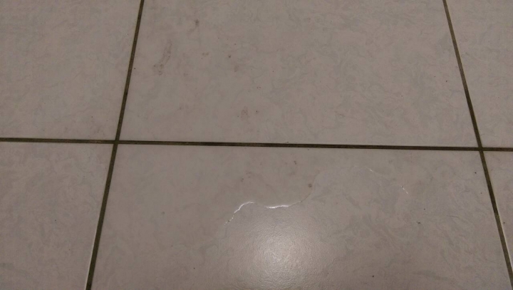 [請益] 買中古屋，才剛交屋就碰上颱風，隔日查看發現客廳滲漏水，如何處理? (文長)----更新