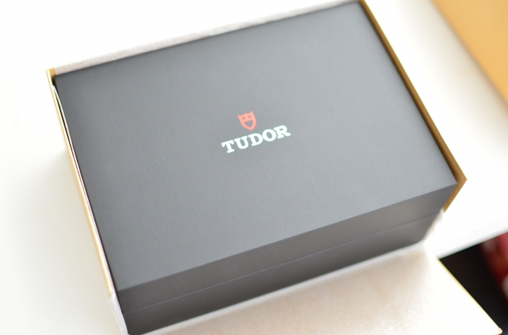 Tudor Black Bay 79220B開箱