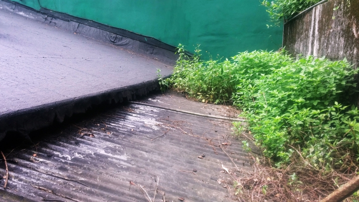 [DIY]老屋屋頂鋪設彩色鋼板