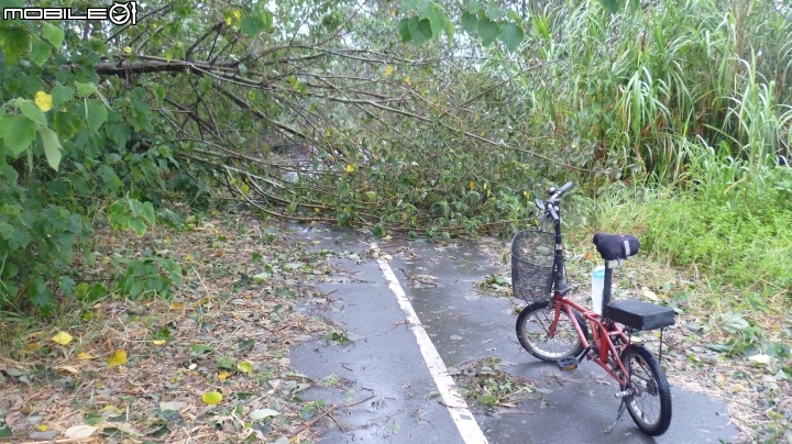颱風天探視本鎮自行車道現況!!