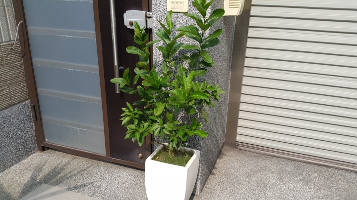 親手打造(前庭-後院）園圃周年更新