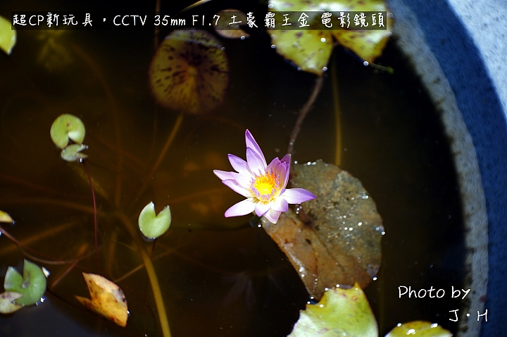[開箱] 哈~7月中大陸玩買來的，CCTV 35mm F1.7 土豪霸王金 IN NEX5N