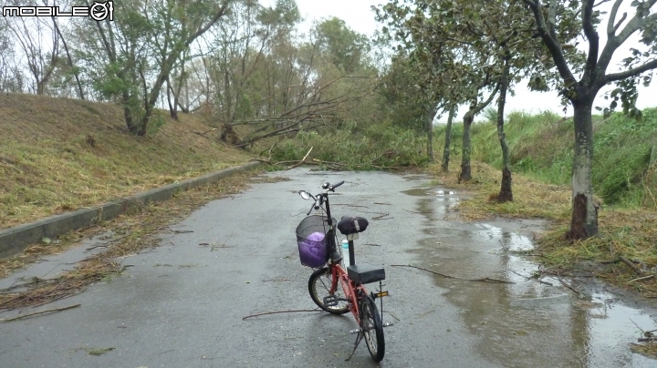 颱風天探視本鎮自行車道現況!!