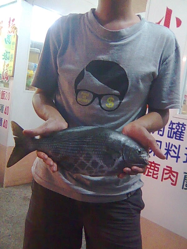 我在綠島的日子