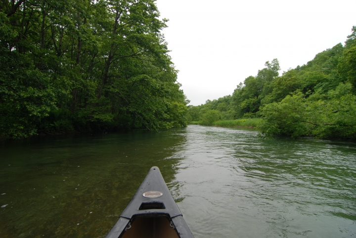 0624 天氣陰 釧路川Canoe tour!
