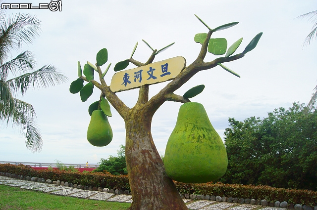 一個人的試駕 環台東一週24小時KUGA自由行