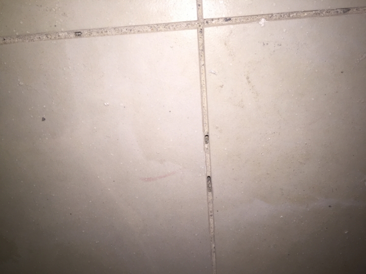 30*30地磚鋪設~這品質???求解!