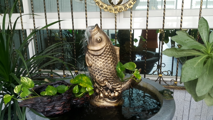 親手打造(前庭-後院）園圃周年更新