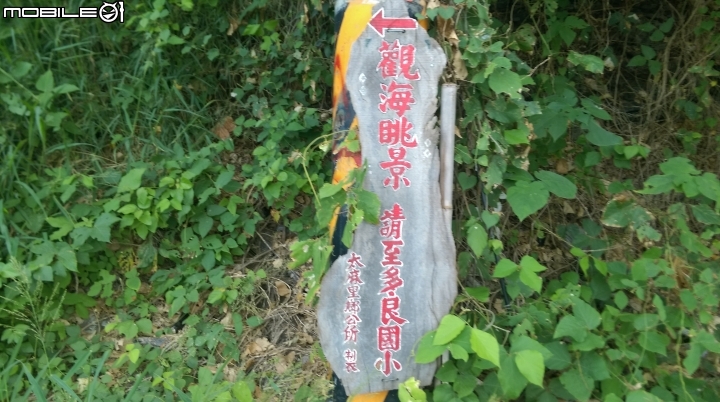 台東多良觀光車站賞景遊