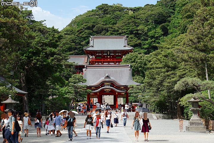 慢遊湘南 鐮倉江之島一日輕旅行