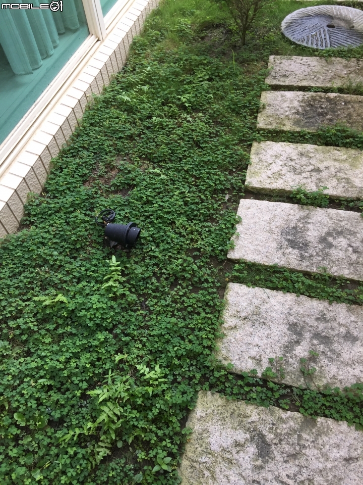 ［請教］老婆覺得小花園太雜亂，又會生蚊子，所以想重新規劃一下，徵求大家的建議，謝謝。