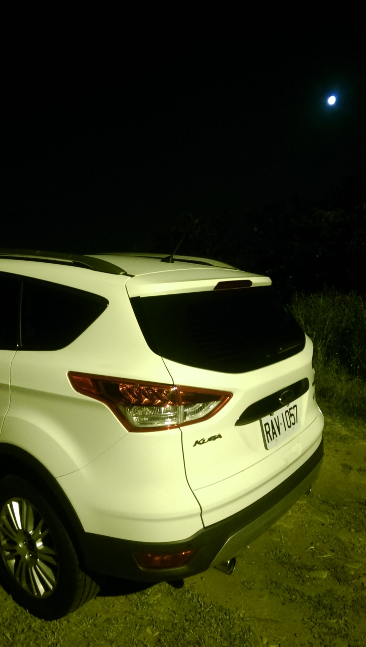 FORD KUGA 24小時免費試駕