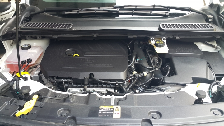 Ford Kuga 1.5 試駕體驗