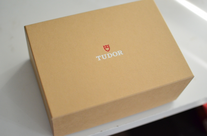 Tudor Black Bay 79220B開箱
