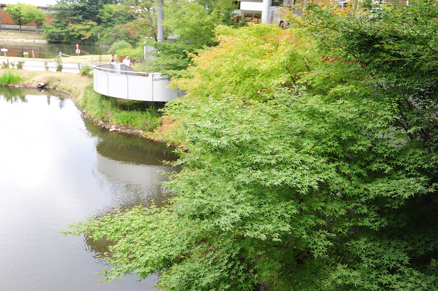 2015夏。日本東京自由行。綠草。水池。高山。空氣清新。擁有200多間店家的輕井澤王子Outlet