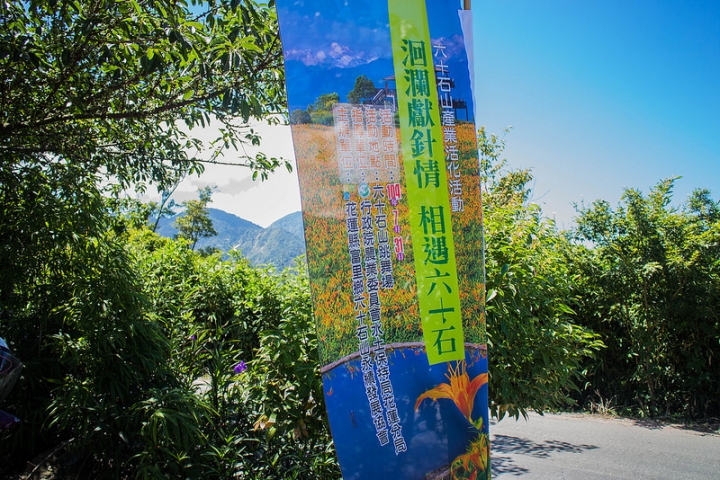 【遊記│花蓮富里】六十石山~金針花海/令人讚嘆的美景