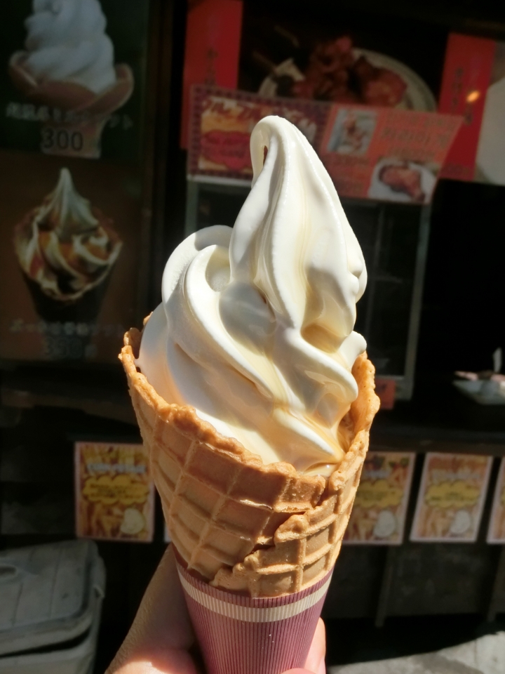 2015日本Wwoofing跳島自由行-九州 由布院 ゆふいんの森 散策