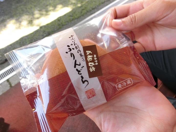 2015日本Wwoofing跳島自由行-九州 由布院 ゆふいんの森 散策