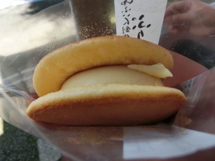 2015日本Wwoofing跳島自由行-九州 由布院 ゆふいんの森 散策