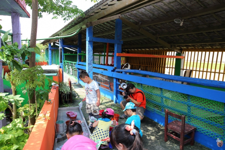 [宜蘭]礁溪水鹿咖啡,是咖啡廳,也是迷你動物園  by蛋拔