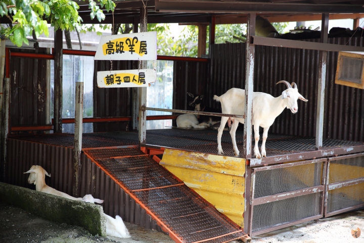 [宜蘭]幸福20號農場,小孩的玩樂天堂  by蛋拔