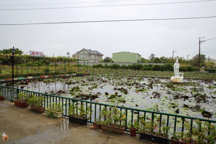 [桃園]觀音荷竹咖啡吃蓮花餐去  by蛋拔