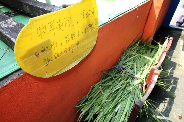 [宜蘭]礁溪水鹿咖啡,是咖啡廳,也是迷你動物園  by蛋拔
