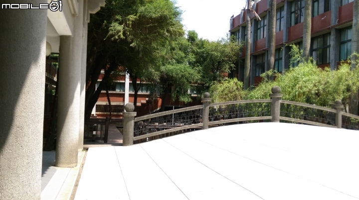 彰化東南中學餵魚遊