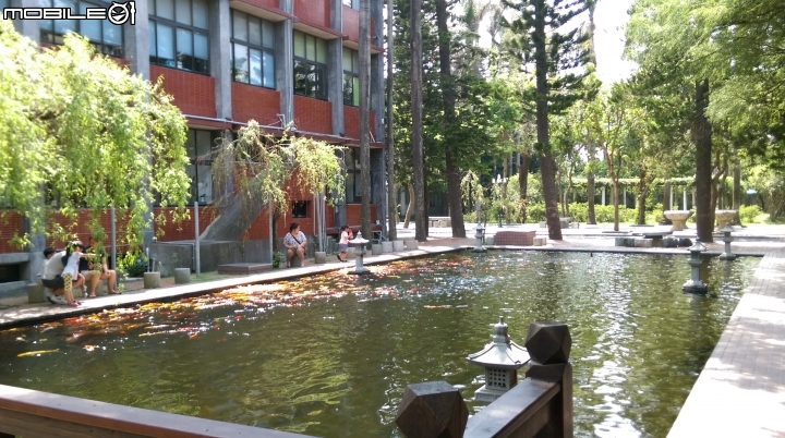 彰化東南中學餵魚遊