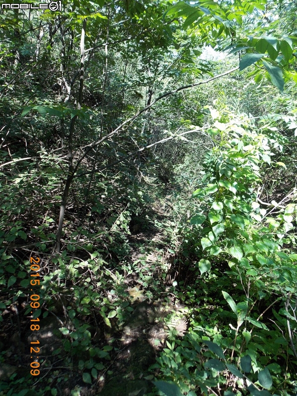 撞道口長城 (鎮虜關)