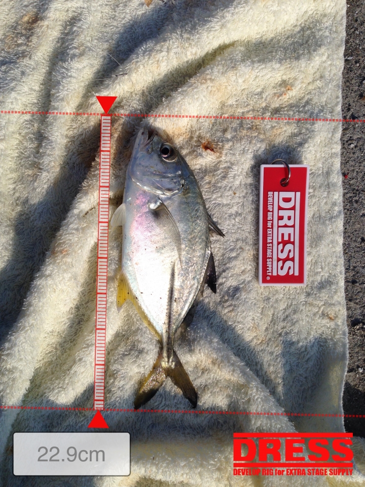 請教我認知的魚名是否正確