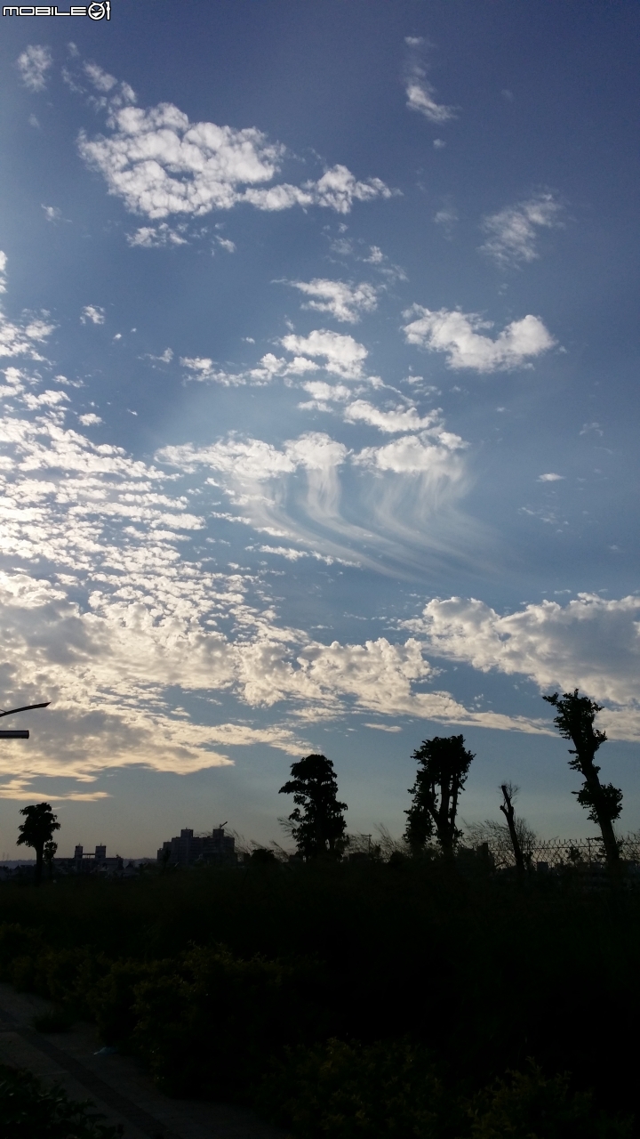 今天傍晚西方天空出現三朵水母雲~