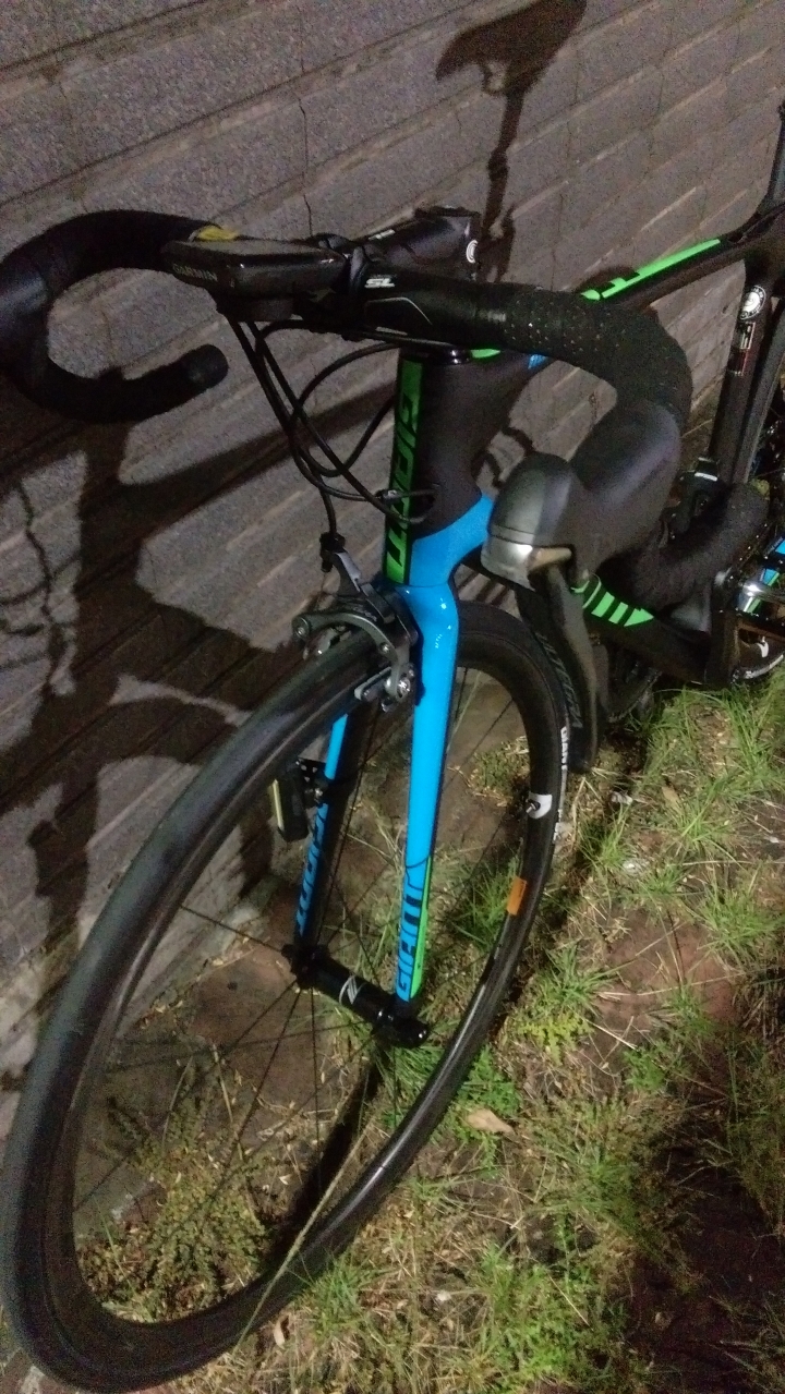 [開箱]浴火重生 我的 2016 TCR PRO1...