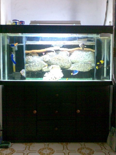 十年海水之無底深淵